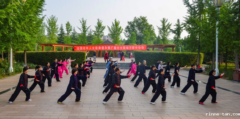 DSC_9617gai.jpg